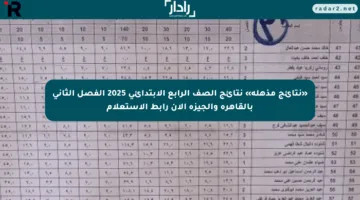 «نتائج مذهلة» نتائج الصف الرابع الابتدائي 2025 الفصل الثاني بالقاهرة والجيزة الآن رابط الاستعلام